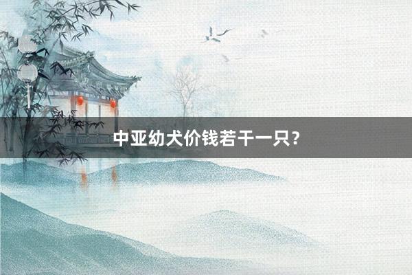 中亚幼犬价钱若干一只？