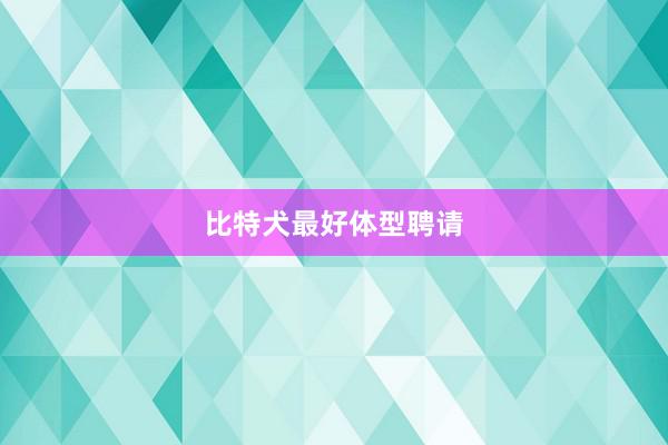 比特犬最好体型聘请