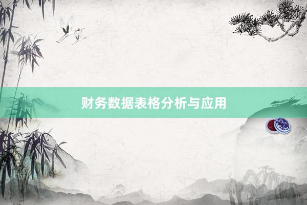 财务数据表格分析与应用